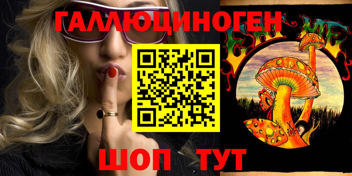Галлюциногенные грибы Psilocybe Сертолово