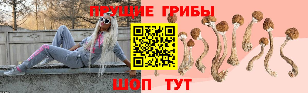Галлюциногенные грибы ЛСД  Псилоцибиновые грибы мицелий  Сертолово  Вход с VPN 